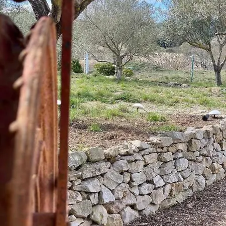 Thym Au Coeur D'une Oliveraie Des Corbieres بيت للعطل