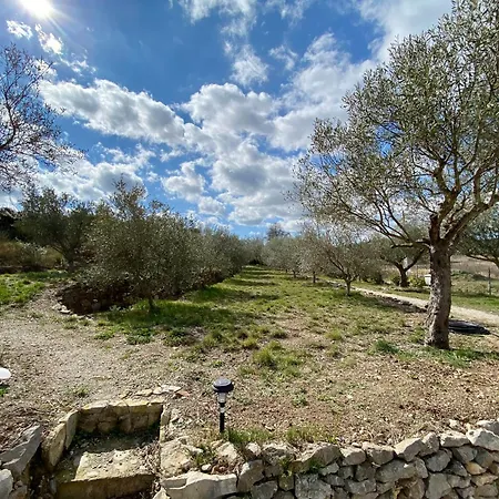 بيت للعطل Thym Au Coeur D'une Oliveraie Des Corbieres *