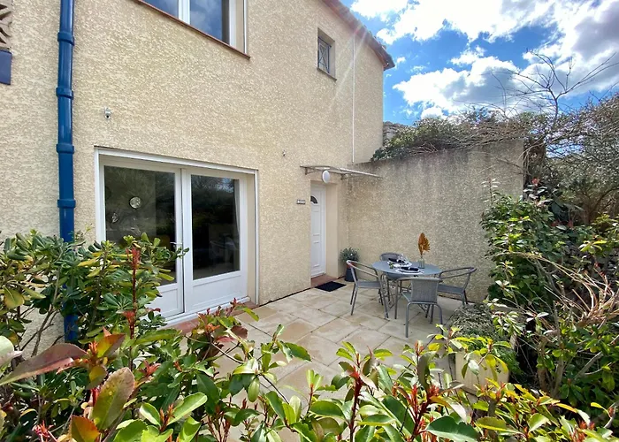 Thym Au Coeur D'une Oliveraie Des Corbieres Saint-Jean-de-Barrou